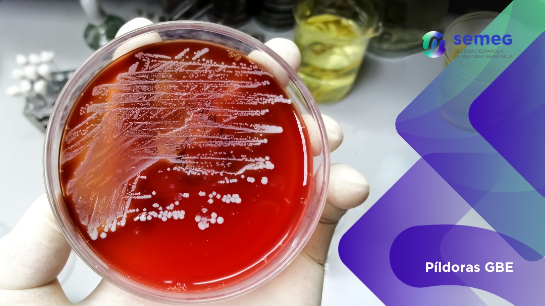 DURACIÓN DE LA ANTIBIOTERAPIA PARA BACTERIEMIAS