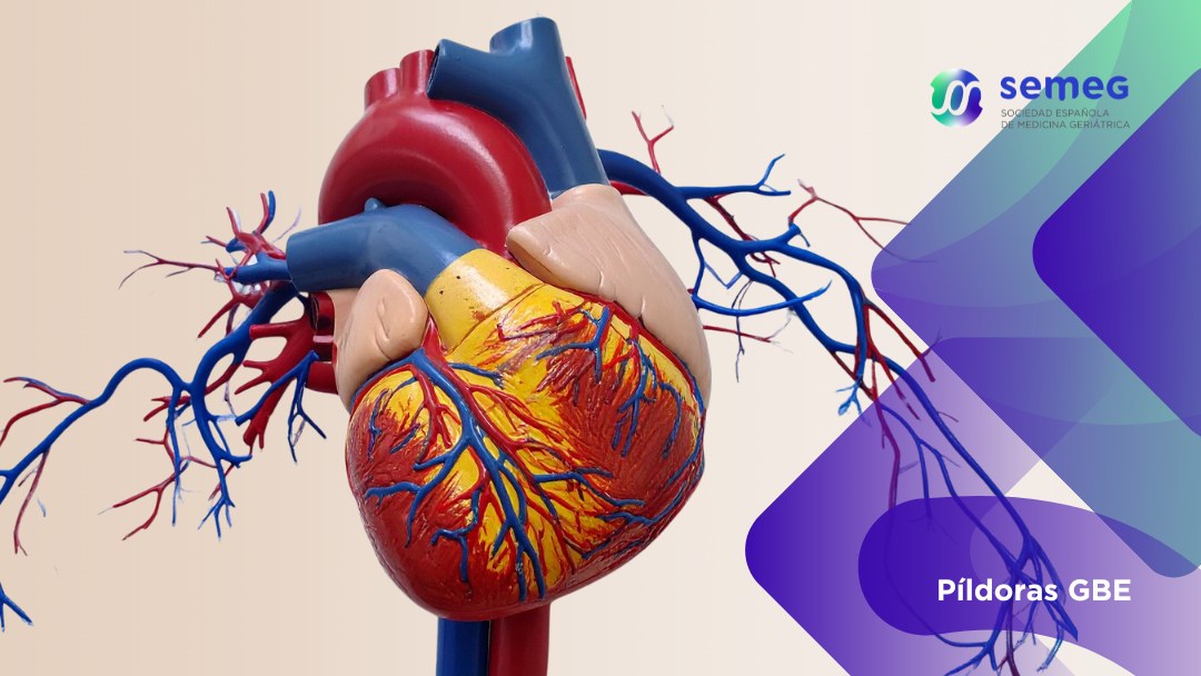 SEMEG Inhibidores SGLT2 Uso de inhibidores SGLT2 en los adultos mayores