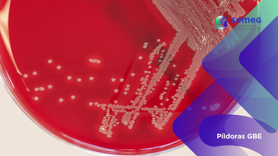 STAPHYLOCOCCUS AUREUS SENSIBLE semeg STAPHYLOCOCCUS AUREUS SENSIBLE semeg